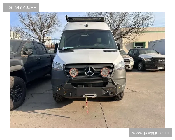 19款奔驰斯宾特商务车 奔驰旅居车报价