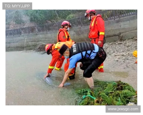 ✅体育直播🏆世界杯直播🏀NBA直播⚽- 江西永修：救助搁浅江豚 守护“微笑天使”- sports