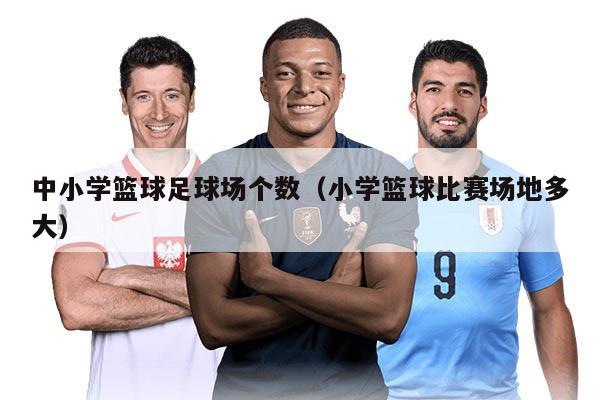 中小学篮球足球场个数（小学篮球比赛场地多大）