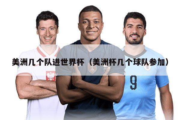 美洲几个队进世界杯（美洲杯几个球队参加）