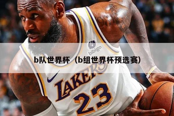 b队世界杯（b组世界杯预选赛）