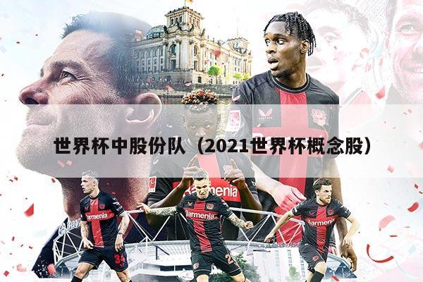 世界杯中股份队（2021世界杯概念股）