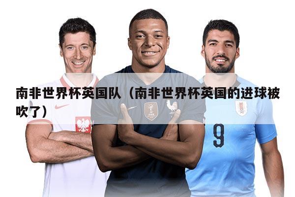 南非世界杯英国队（南非世界杯英国的进球被吹了）