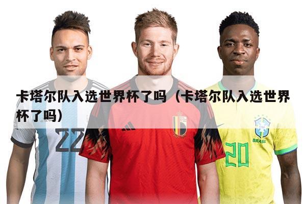 卡塔尔队入选世界杯了吗（卡塔尔队入选世界杯了吗）