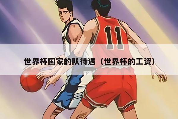 世界杯国家的队待遇（世界杯的工资）