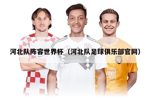河北队阵容世界杯（河北队足球俱乐部官网）