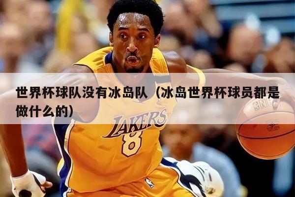 世界杯球队没有冰岛队（冰岛世界杯球员都是做什么的）