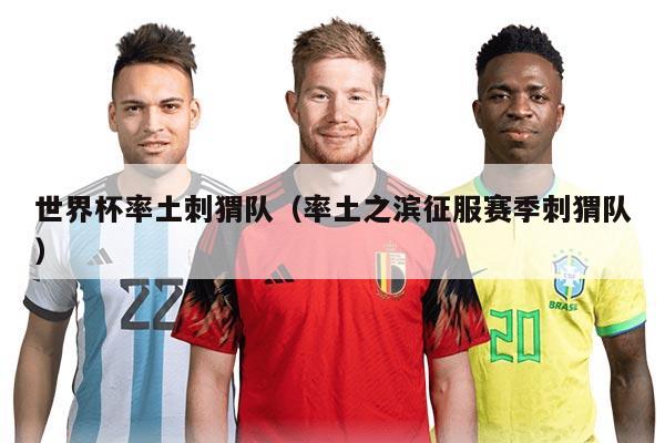 世界杯率土刺猬队（率土之滨征服赛季刺猬队）