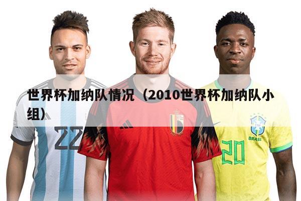 世界杯加纳队情况(2010世界杯加纳队小组)