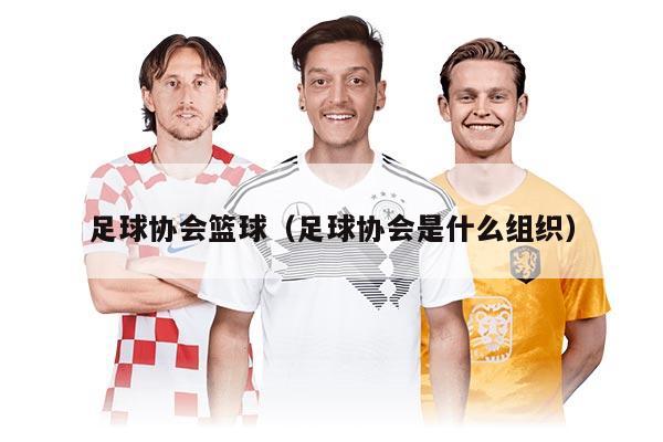 足球协会篮球（足球协会是什么组织）