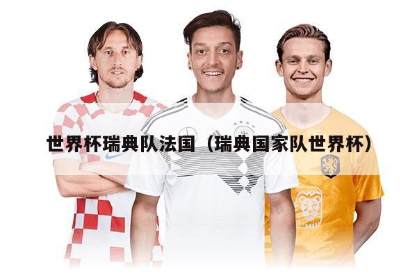 世界杯瑞典队法国（瑞典国家队世界杯）