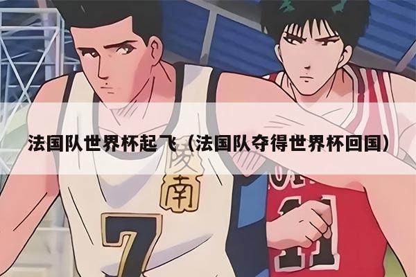 法国队世界杯起飞（法国队夺得世界杯回国）