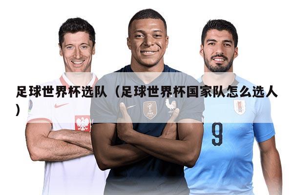 足球世界杯选队（足球世界杯国家队怎么选人）