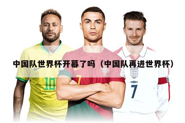 中国队世界杯开幕了吗（中国队再进世界杯）