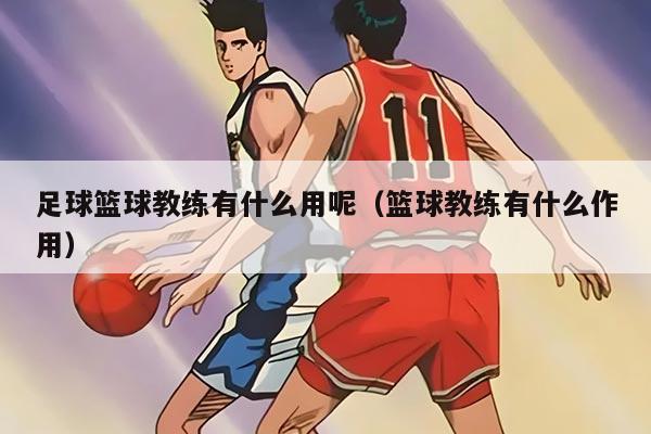 足球篮球教练有什么用呢（篮球教练有什么作用）