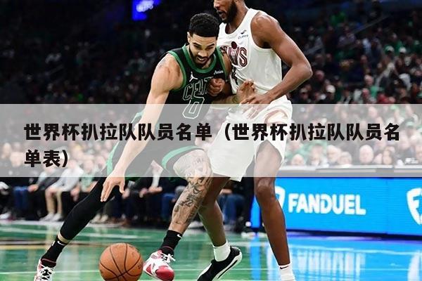 世界杯扒拉队队员名单（世界杯扒拉队队员名单表）