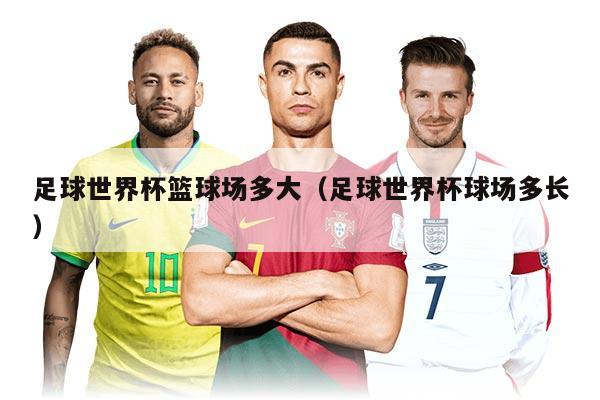 足球世界杯篮球场多大（足球世界杯球场多长）