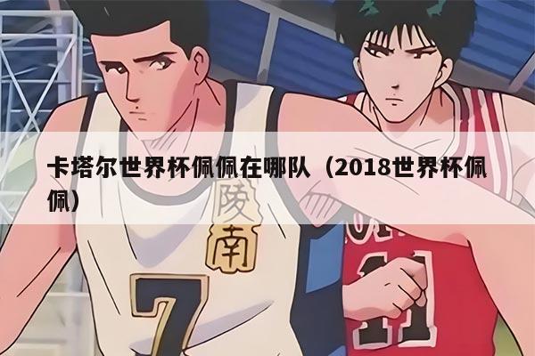 卡塔尔世界杯佩佩在哪队（2018世界杯佩佩）