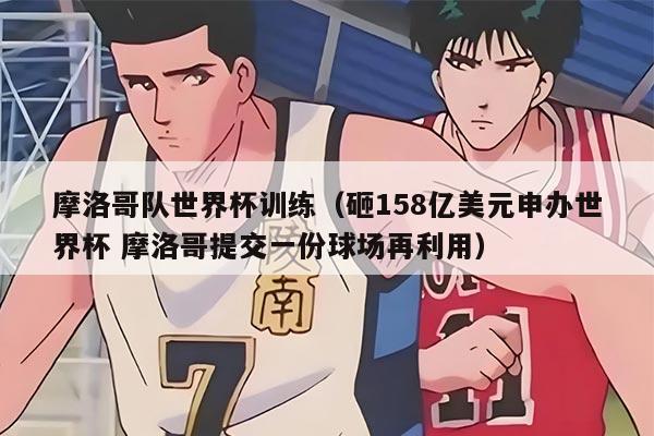 摩洛哥队世界杯训练（砸158亿美元申办世界杯 摩洛哥提交一份球场再利用）