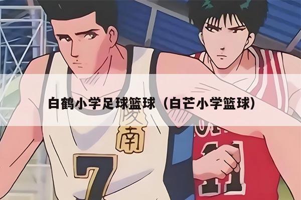 白鹤小学足球篮球（白芒小学篮球）