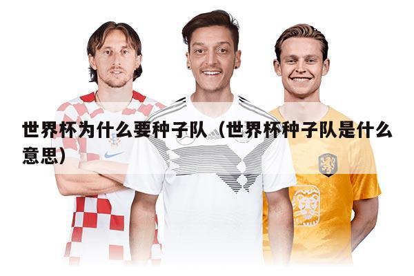 世界杯为什么要种子队(世界杯种子队是什么意思)