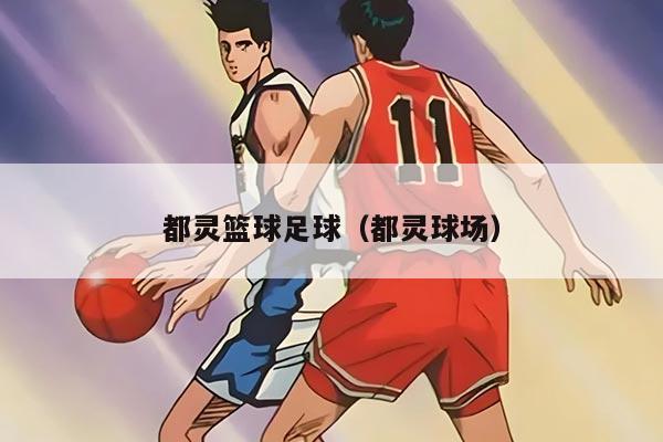 都灵篮球足球（都灵球场）
