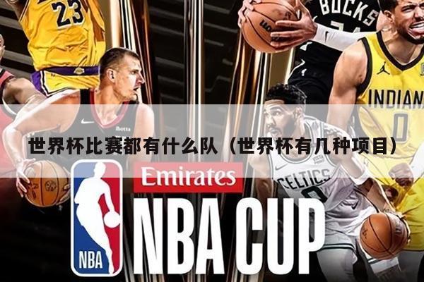 世界杯比赛都有什么队（世界杯有几种项目）