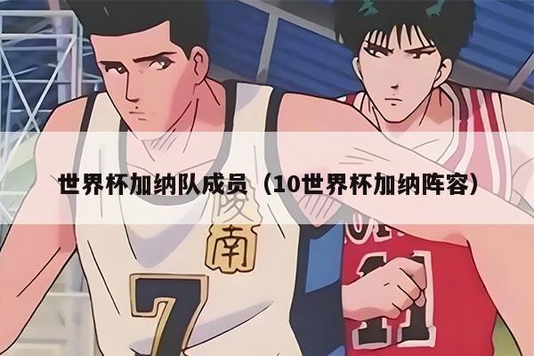 世界杯加纳队成员（10世界杯加纳阵容）