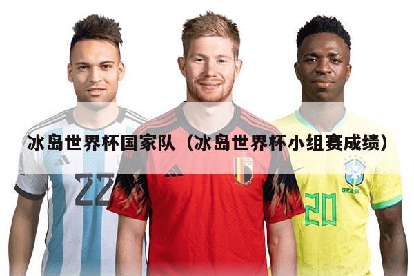 冰岛世界杯国家队（冰岛世界杯小组赛成绩）