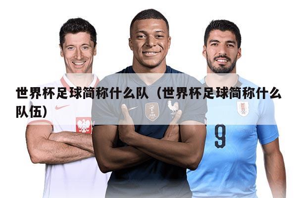 世界杯足球简称什么队（世界杯足球简称什么队伍）