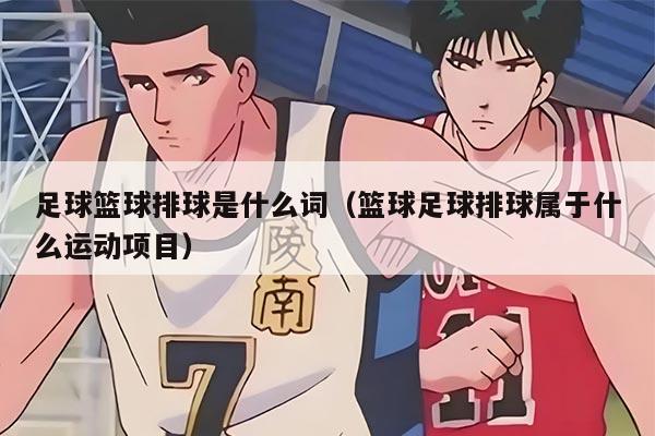 足球篮球排球是什么词（篮球足球排球属于什么运动项目）
