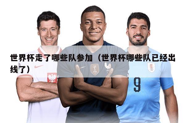 世界杯走了哪些队参加（世界杯哪些队已经出线了）