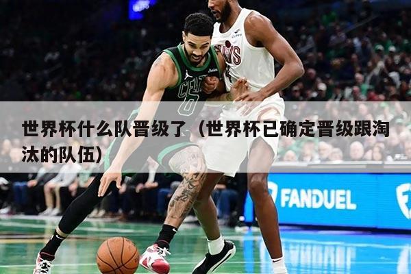 世界杯什么队晋级了（世界杯已确定晋级跟淘汰的队伍）