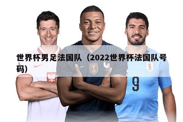 世界杯男足法国队（2022世界杯法国队号码）