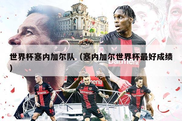 世界杯塞内加尔队（塞内加尔世界杯最好成绩）