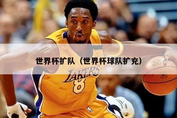 世界杯扩队（世界杯球队扩充）