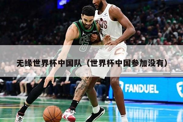 无缘世界杯中国队（世界杯中国参加没有）