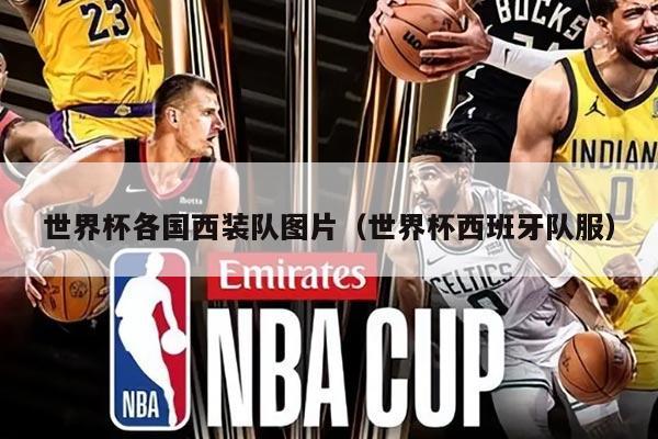 世界杯各国西装队图片（世界杯西班牙队服）