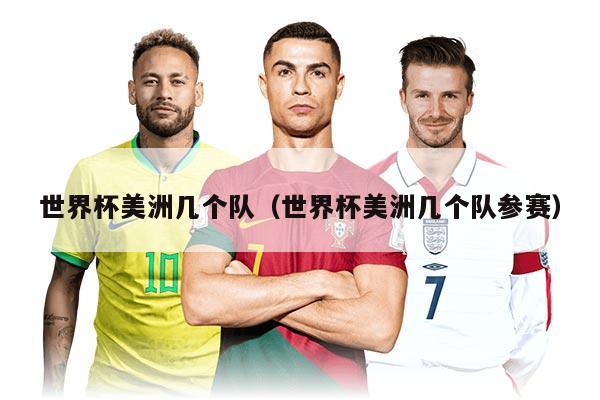 世界杯美洲几个队（世界杯美洲几个队参赛）