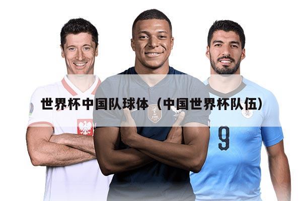 世界杯中国队球体（中国世界杯队伍）