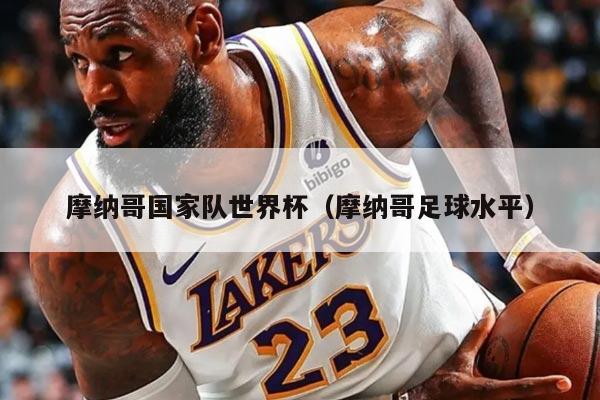 摩纳哥国家队世界杯（摩纳哥足球水平）