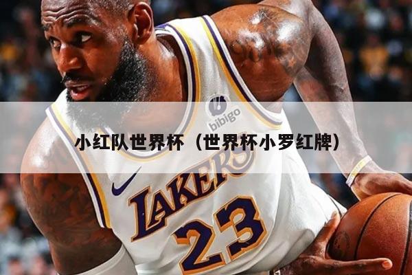 小红队世界杯（世界杯小罗红牌）