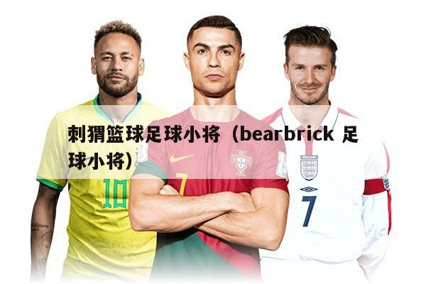 刺猬篮球足球小将（bearbrick 足球小将）