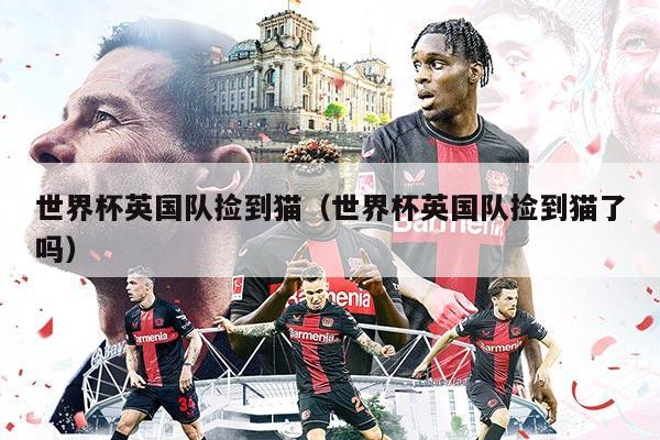 世界杯英国队捡到猫（世界杯英国队捡到猫了吗）