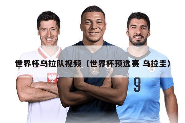世界杯乌拉队视频（世界杯预选赛 乌拉圭）
