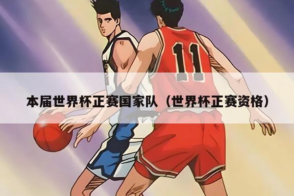 本届世界杯正赛国家队（世界杯正赛资格）