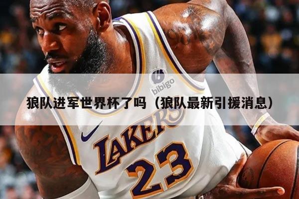 狼队进军世界杯了吗(狼队最新引援消息)