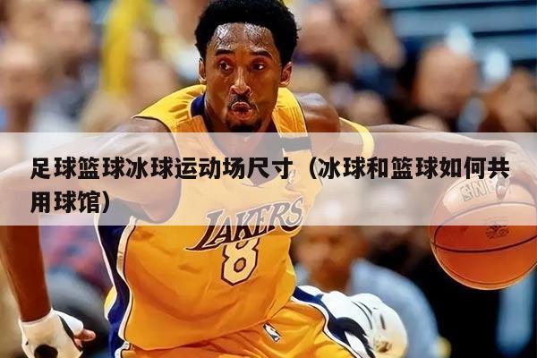 足球篮球冰球运动场尺寸（冰球和篮球如何共用球馆）